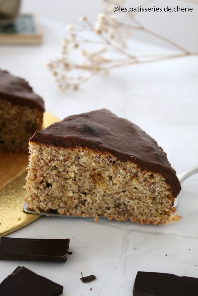 recette moelleux chocolat noisettes